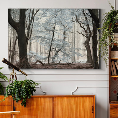 Silverwood - reproduction de photo sur toile tendue