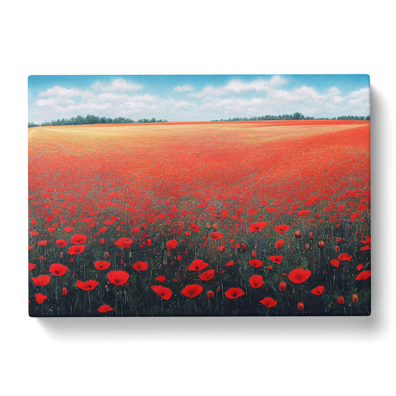 Elegant Poppies Flowers - Wrapped Canvas Print, 50cm H x 76cm W x 3cm D