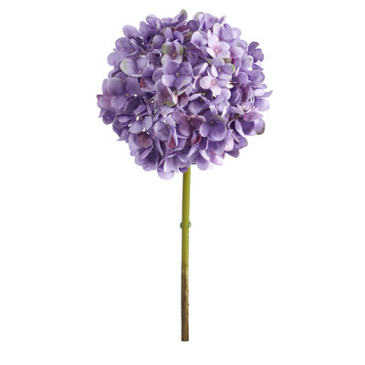 Tige d'hortensia