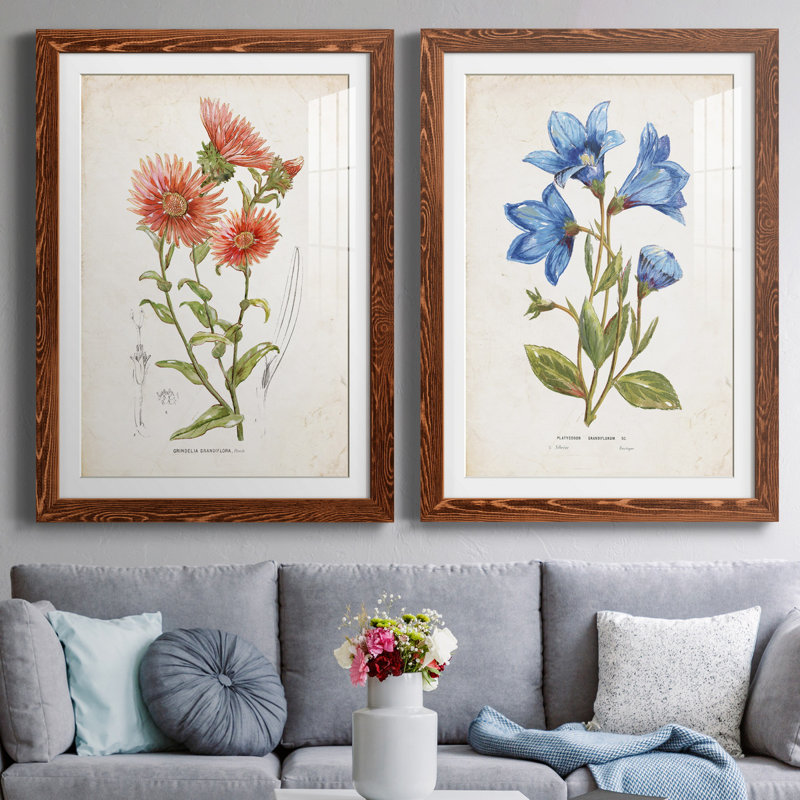 «Botanical I», ensemble de 2 reproductions d'art, H 31,5 po x l 47 po x P 1,5 po, Blanc, Papier avec cadre érable
