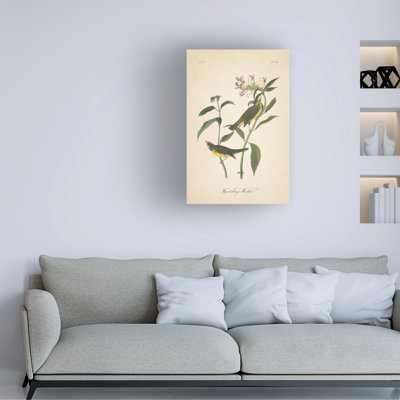 Art mural sur toile, fauve bolognaise III