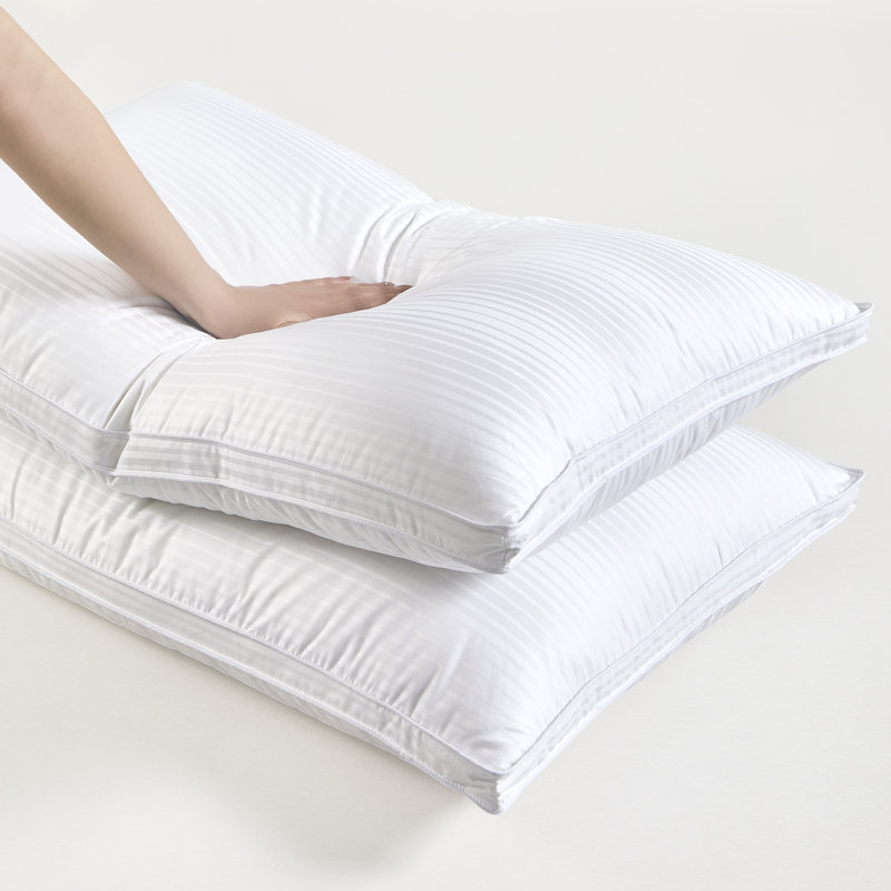 Oreiller en duvet d'oie doux et moyen, Très grand