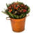 Metal Pot Planter