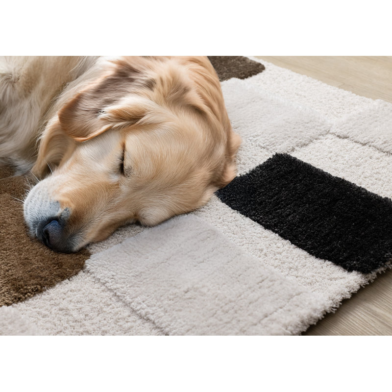 Tapis luxueux à motif géométrique brun ivoire luxueux, Rectangle 5 pi 3 po x 7 pi 7 po