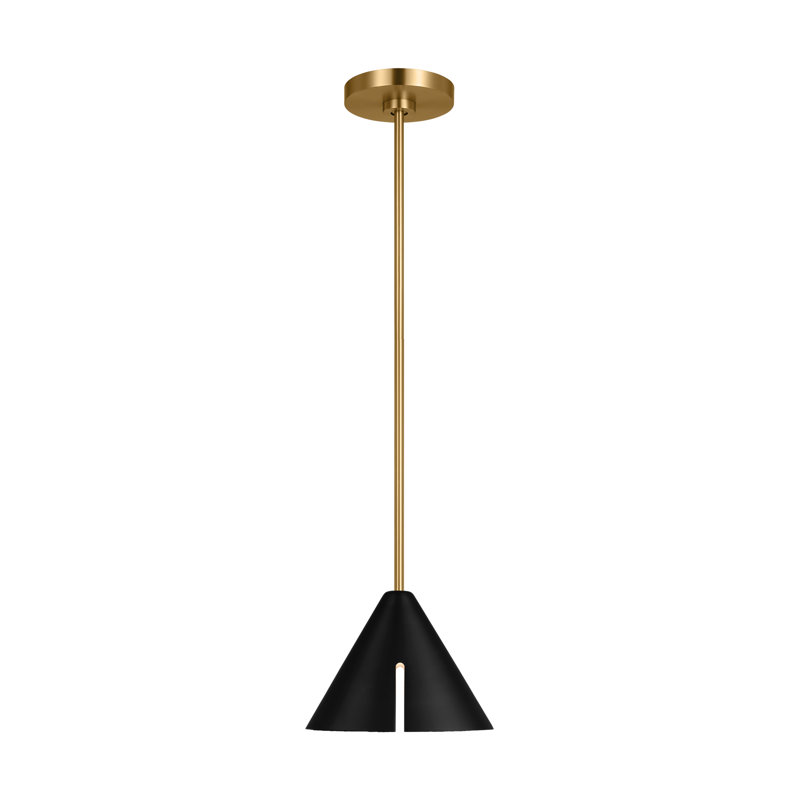 Midnight Black and Brass LED Indoor/Outdoor Pendant Light