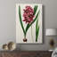 AntiqueFloralFolioV - galerie Cavas sur mesure-1574450361