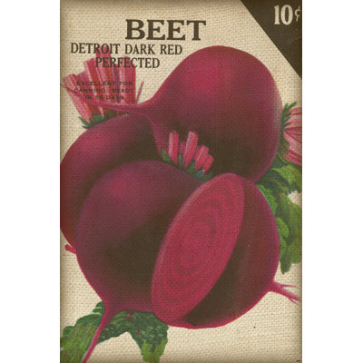 Heirloom Variety III by Studio W - Wrapped Canvas Print