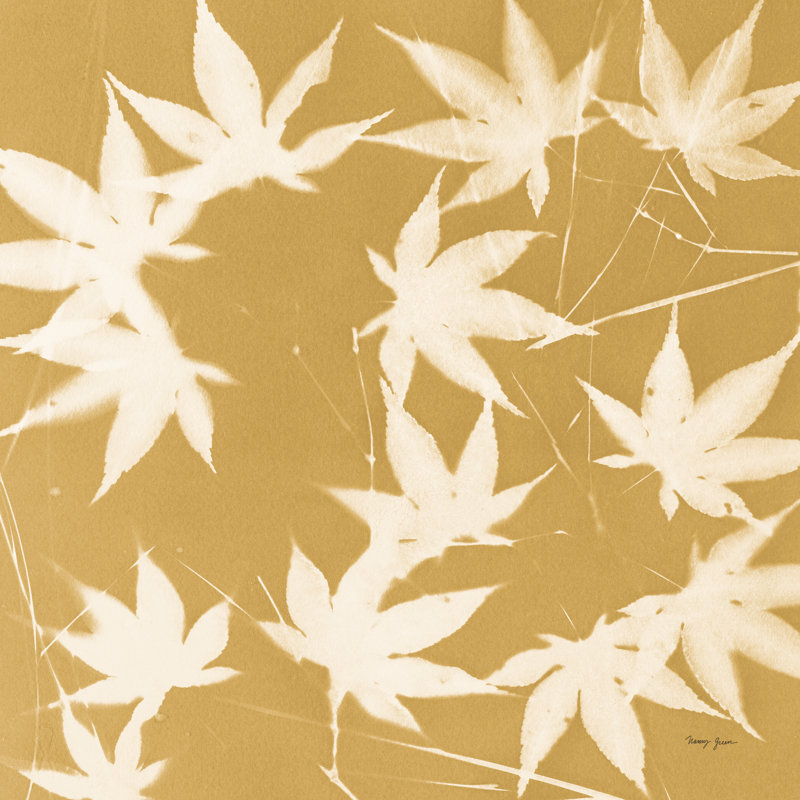Enchanted Fall Cyanotype V Crop by Nancy Green - Wrapped Canvas Painting, 122cm H x 81cm W