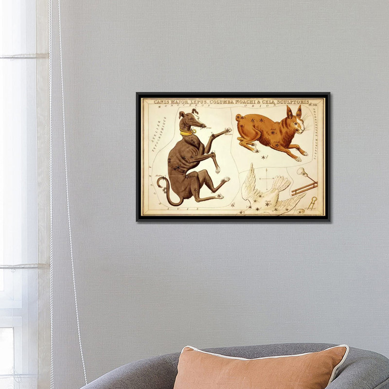 «Canis Major, Lepus, Columba Noachi et Cela Sculptoris» par Sidney Hall, impression sur toile, H 32 po x l 48 po x P 1,5 po