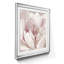 Intime Blush I - cadre photo, reproduction d'art sur papier-80638798-80638799
