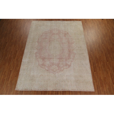 Distressed Muted  Traditional Area Rug 10x13