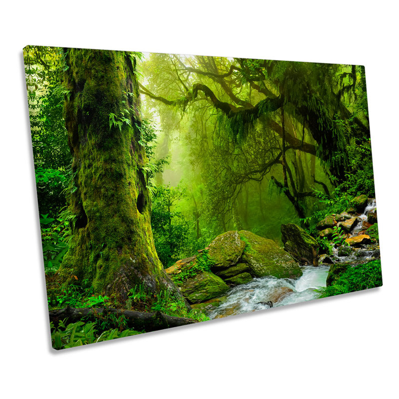 X5313 Green Landscape Rain Forest - Wrapped Canvas Print, 30.5cm H x 45.7cm W x 2cm D