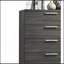 Lantha Grey Oak Finish Chest