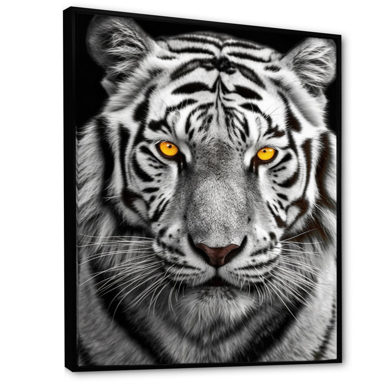 Tigre blanc féroce I - reproduction sur toile, H 44 po x l 34 po x P 1,5 po, Cadre flottant noir