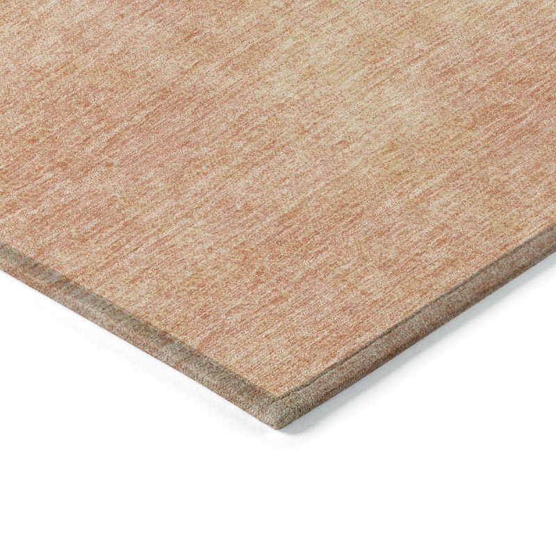 Tapis intérieur / extérieur lavable pêche 9 pi x 12 pi HomeRoots