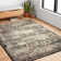 Abbie Abstract Indoor Rug