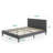 Daneshia Upholstered Platform Bed-680019994-680019997