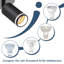 Cupas Flush Mount