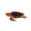 Statue de tortue de mer géante