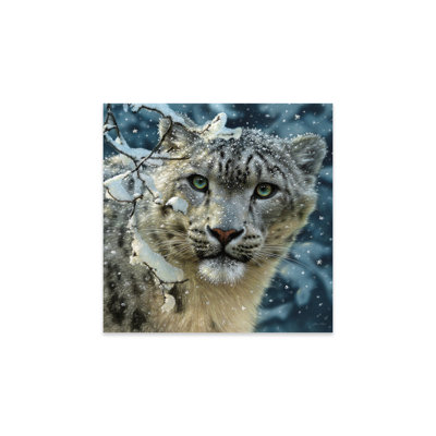 Snow leopard, carré