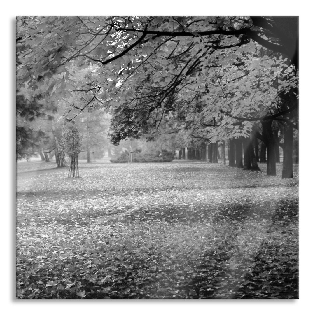 Glasbild Schöner Park im Herbst