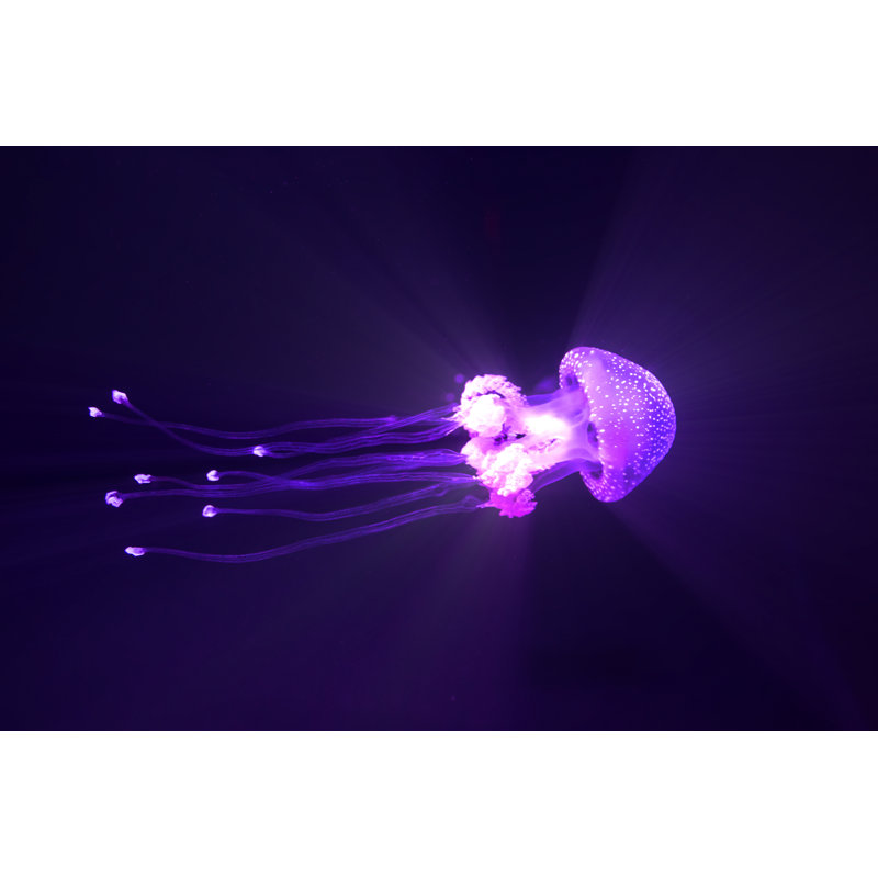 Jelly Fish by Vertigo3d - No Frame Art Prints on Canvas, 20cm H x 30cm W