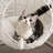 35.04" Cat Bed-66671240