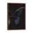 Classic Brown Wood Framed