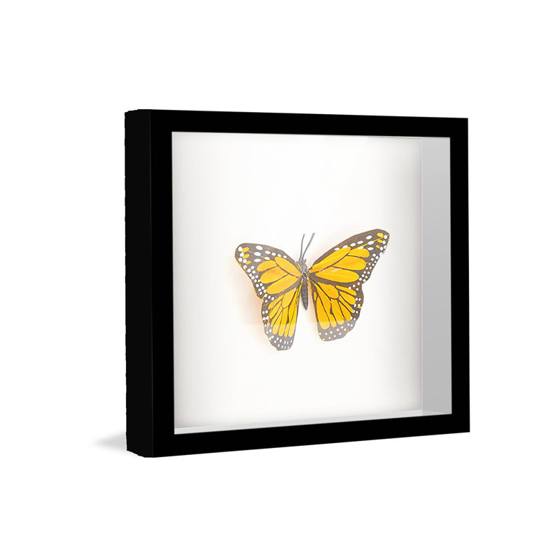 Solid Wood Shadow Box Picture Frame, 14" W x 14" H, Black
