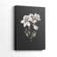 Imprimé floral rétro CLII - galerie Cavas-701738503