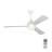 Ceiling Fan with LED Lights-220343686-211481073