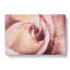 Pink Rose Flower Vol.6 - Wrapped Canvas-61838719