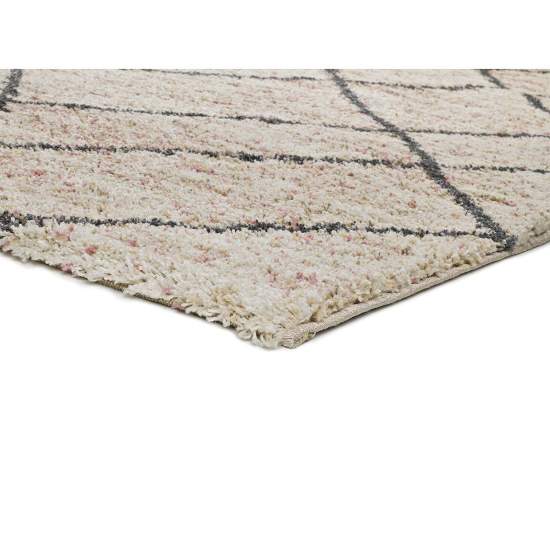 Mordenhill Southwestern Area Rug, Rectangle 133 x 190cm