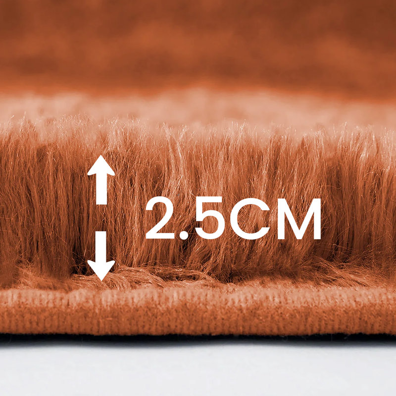 Parmelia Polypropylene Rust Non-Slip Backing Area Rug , Rectangle 50 x 80cm