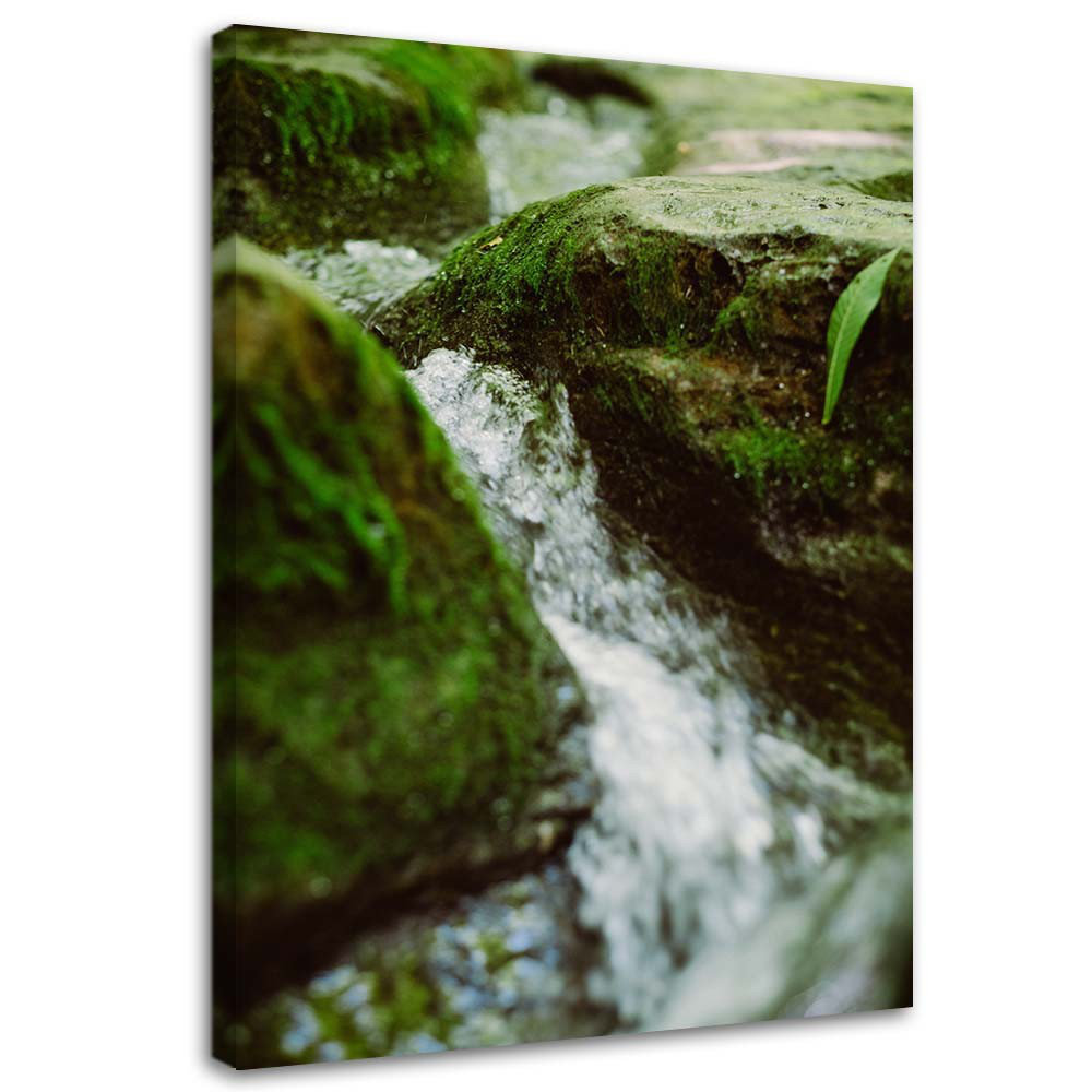 Leinwandbild River Stones Nature