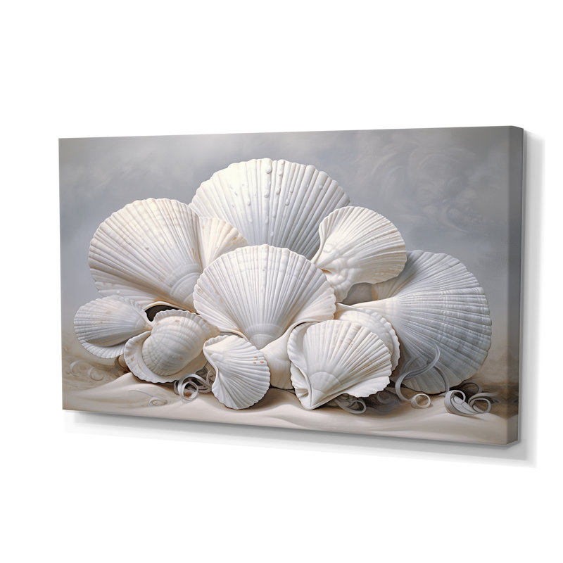 Monochromatic White Seashells - Animals Canvas Prints