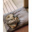 Signature Pillow/Classic Bed-1520193527-1520193524