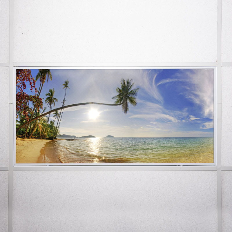 Housses pour lampes de plafond Beach Classroom