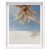 White Shadowbox