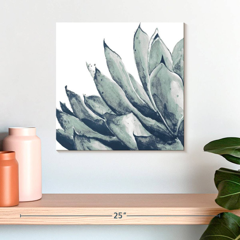 Agave bleu Harnek sur fond blanc I, H 16 po x l 16 po