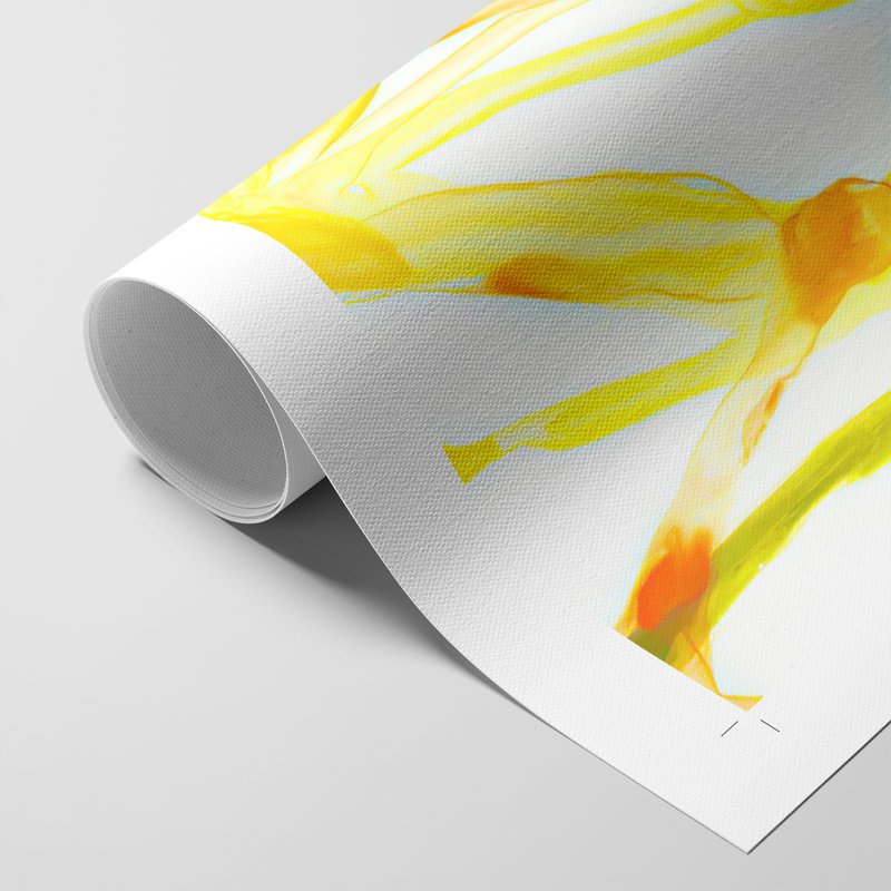 RunnelIV - Impression sur toile seulement - NON-CADRE
