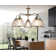 Asner 5-Light Shaded Chandelier