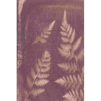Soleil botanique I