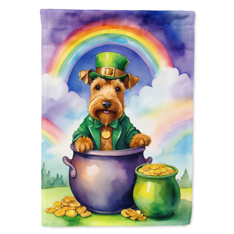 Drapeau double face en polyester H 40 po x l 28 po St Patrick's Day House