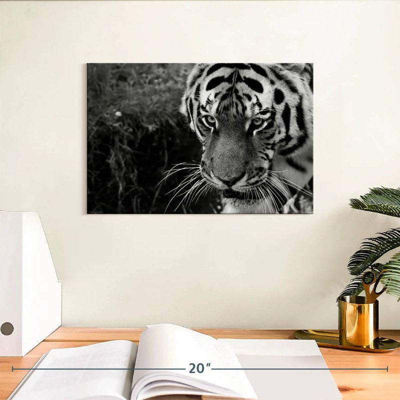 Brampt Black And White Tiger, 8" H x 12" W