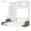 Grand lit escamotable mural avec canapé et tablettes de rangement intégrés - Grand lit multifonctionnel, beige-1534018139