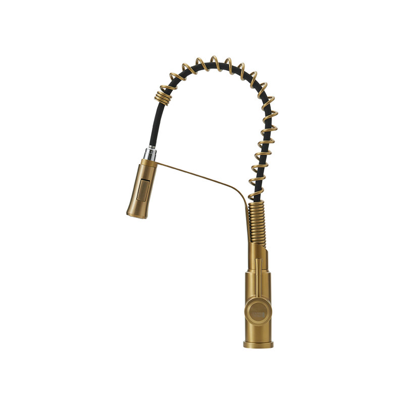 Belfry Kitchen Catawba Pull Down Kitchen Faucet, Brushed Gold