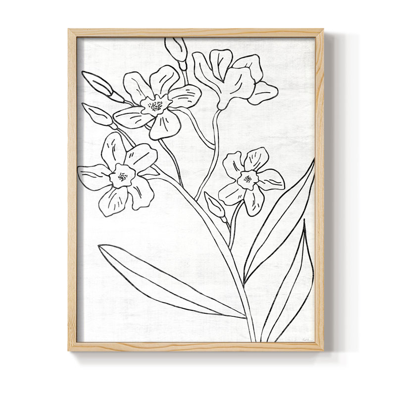Reproduction encadrée botanique II, H 11 po x l 9 po