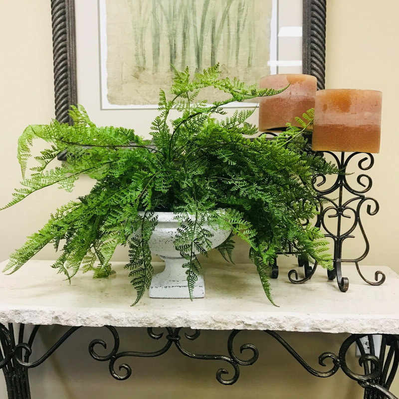 Fern Arrangement