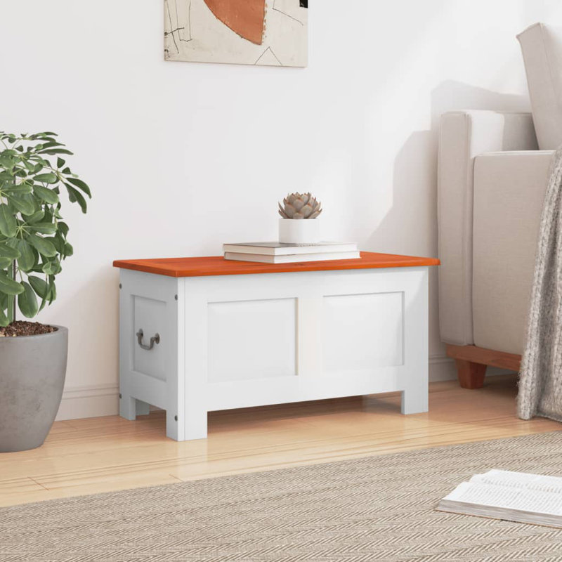 Camp Trunk / Footlocker, Brown/White